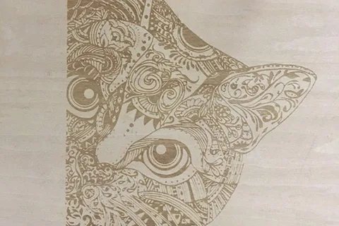 Exemplo de maquina de corte e gravacao a laser (2)